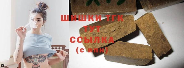 СК Вязьма