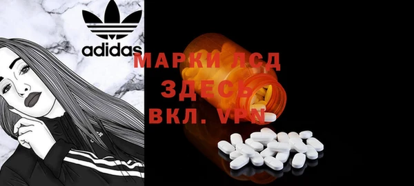 СК Вязьма