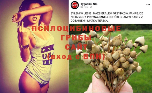 СК Вязьма