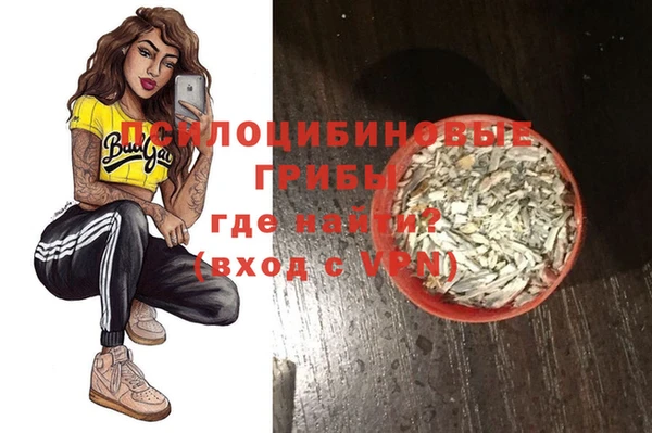СК Вязьма