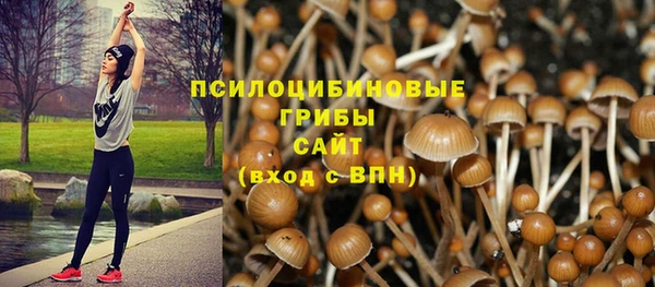 спайс Вязники