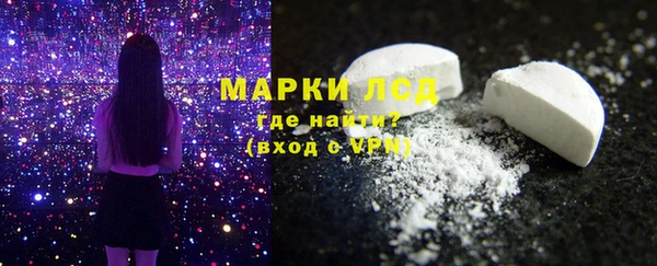СК Вязьма